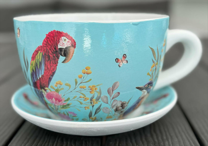 Native Flora & Fauna Cup and Saucer Planter - 19cm Native Bird Designs Planter The Sweet Giftorium Blue