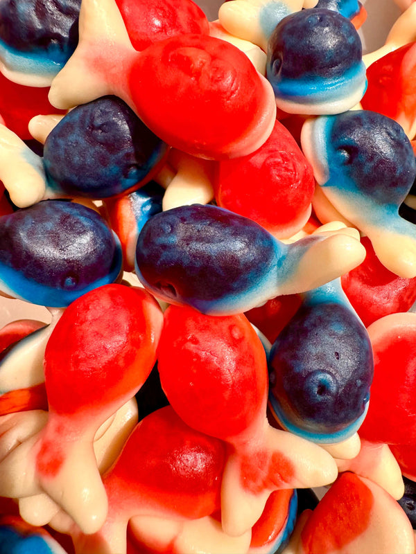 Jelly Filled Whales (UK / British)