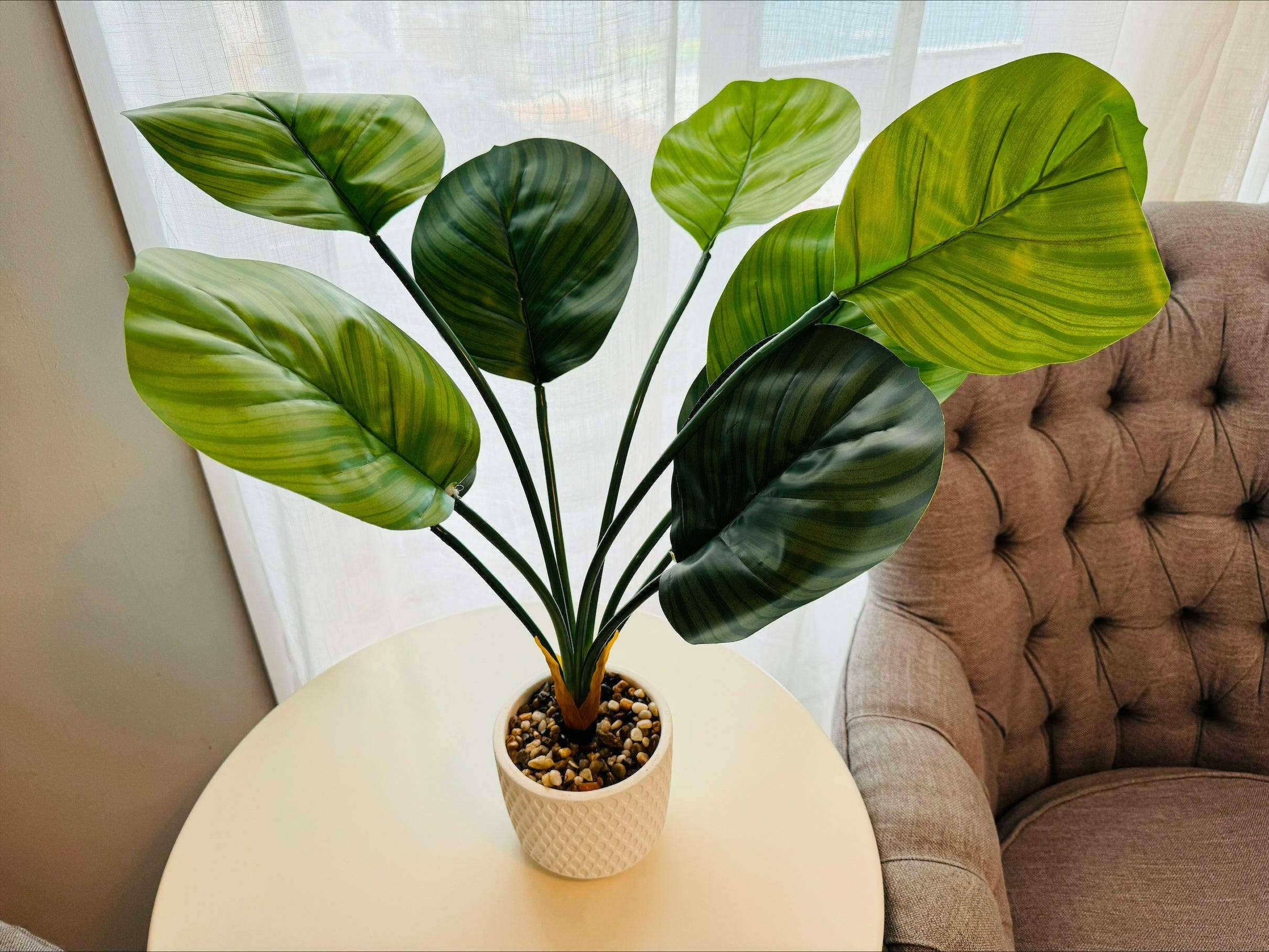 Fern Plant in White Rippled Pot 61cm