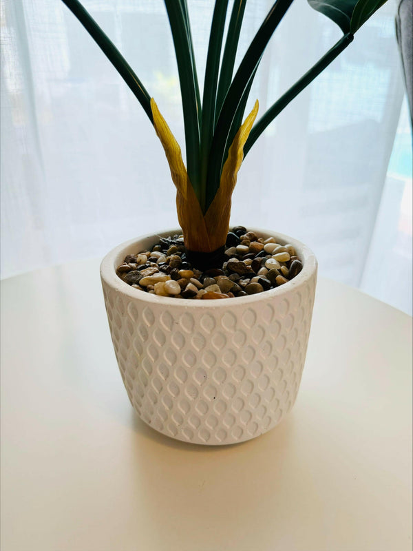 Fern Plant in White Rippled Pot 61cm