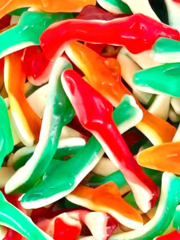 Damel Coloured Sharks