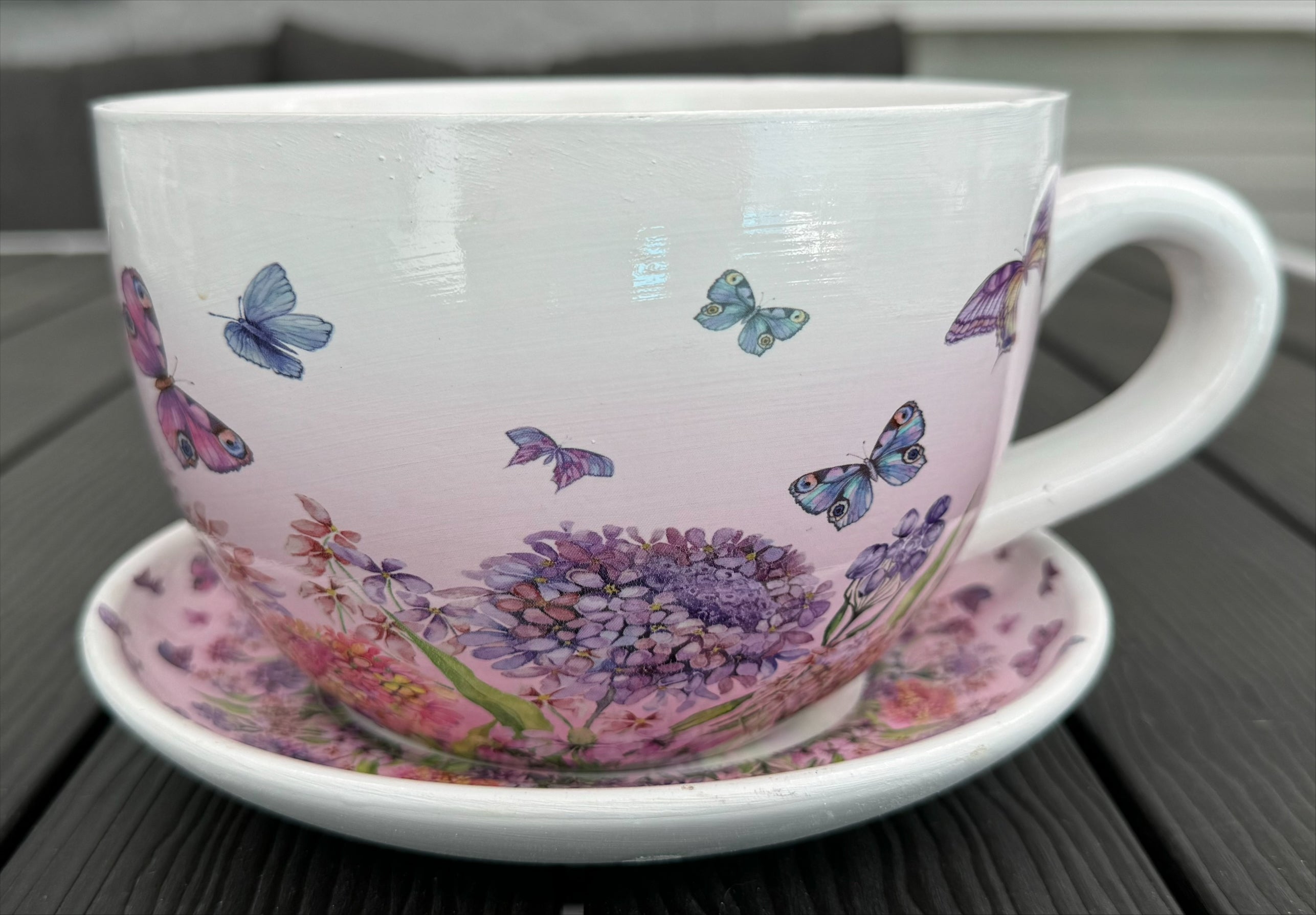 Native Flora & Fauna Cup and Saucer Planter - 19cm Floral Designs