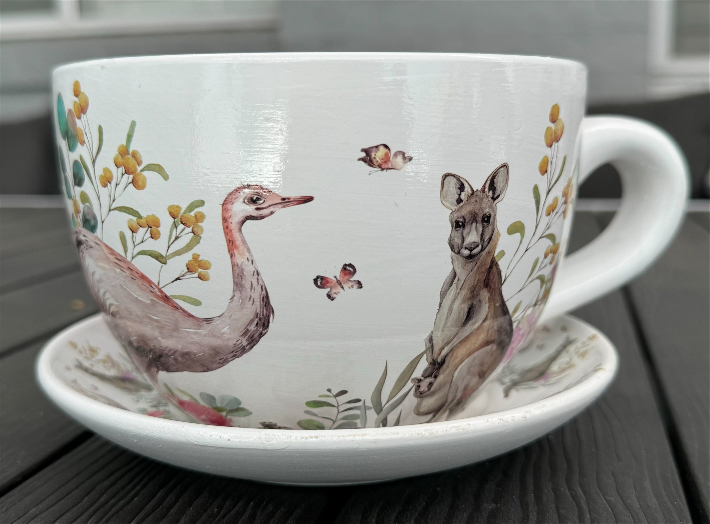 Native Flora & Fauna Cup and Saucer Planter - 19cm Native Animal Designs