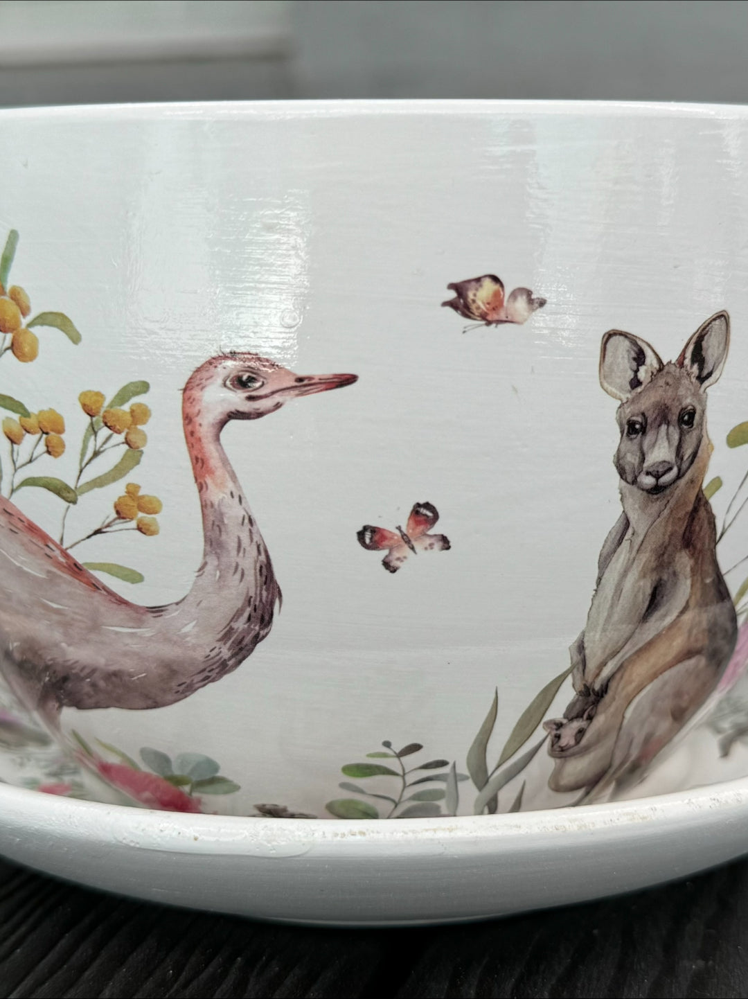 Native Flora & Fauna Cup and Saucer Planter - 19cm Native Animal Designs