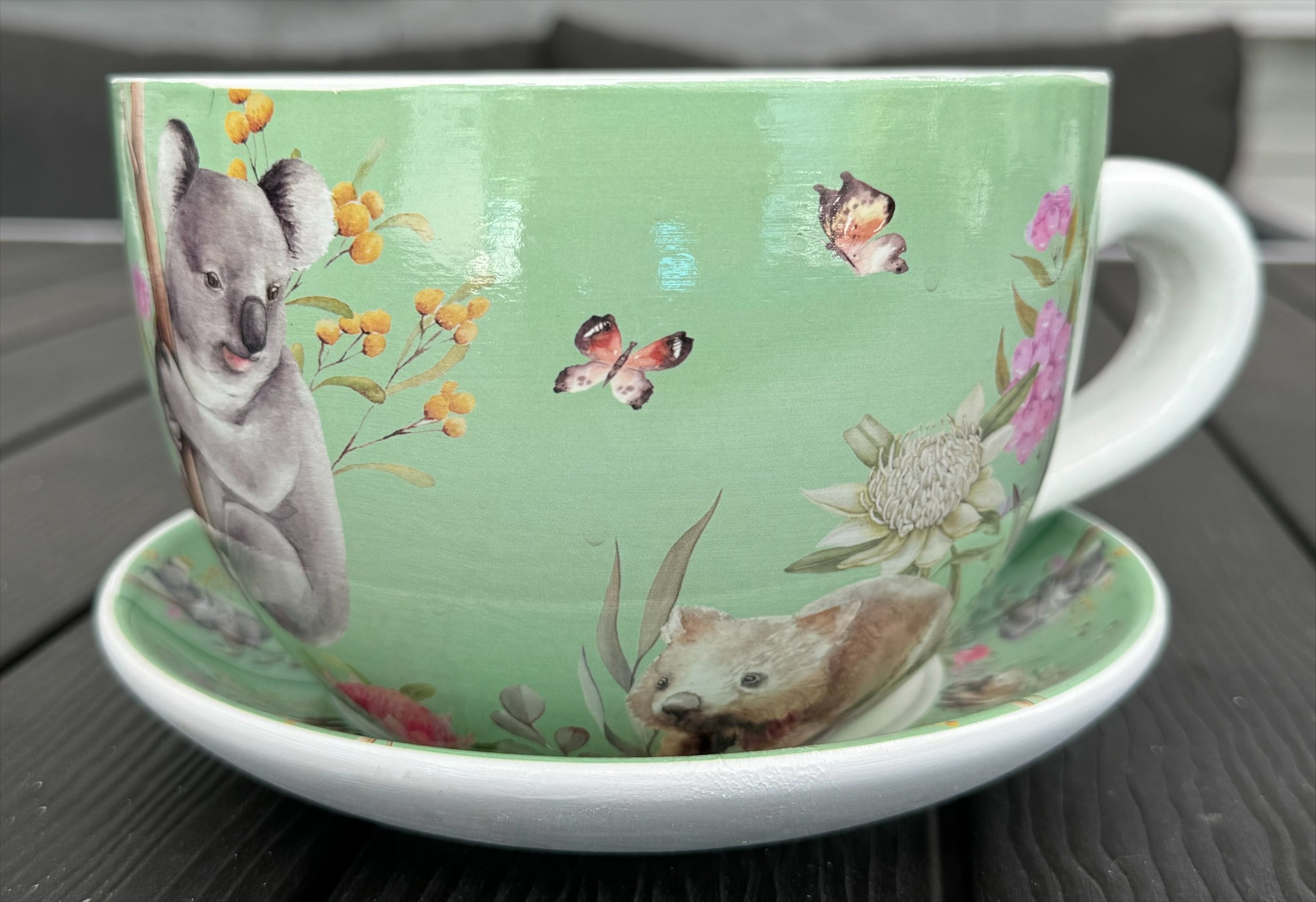 Native Flora & Fauna Cup and Saucer Planter - 19cm Native Animal Designs