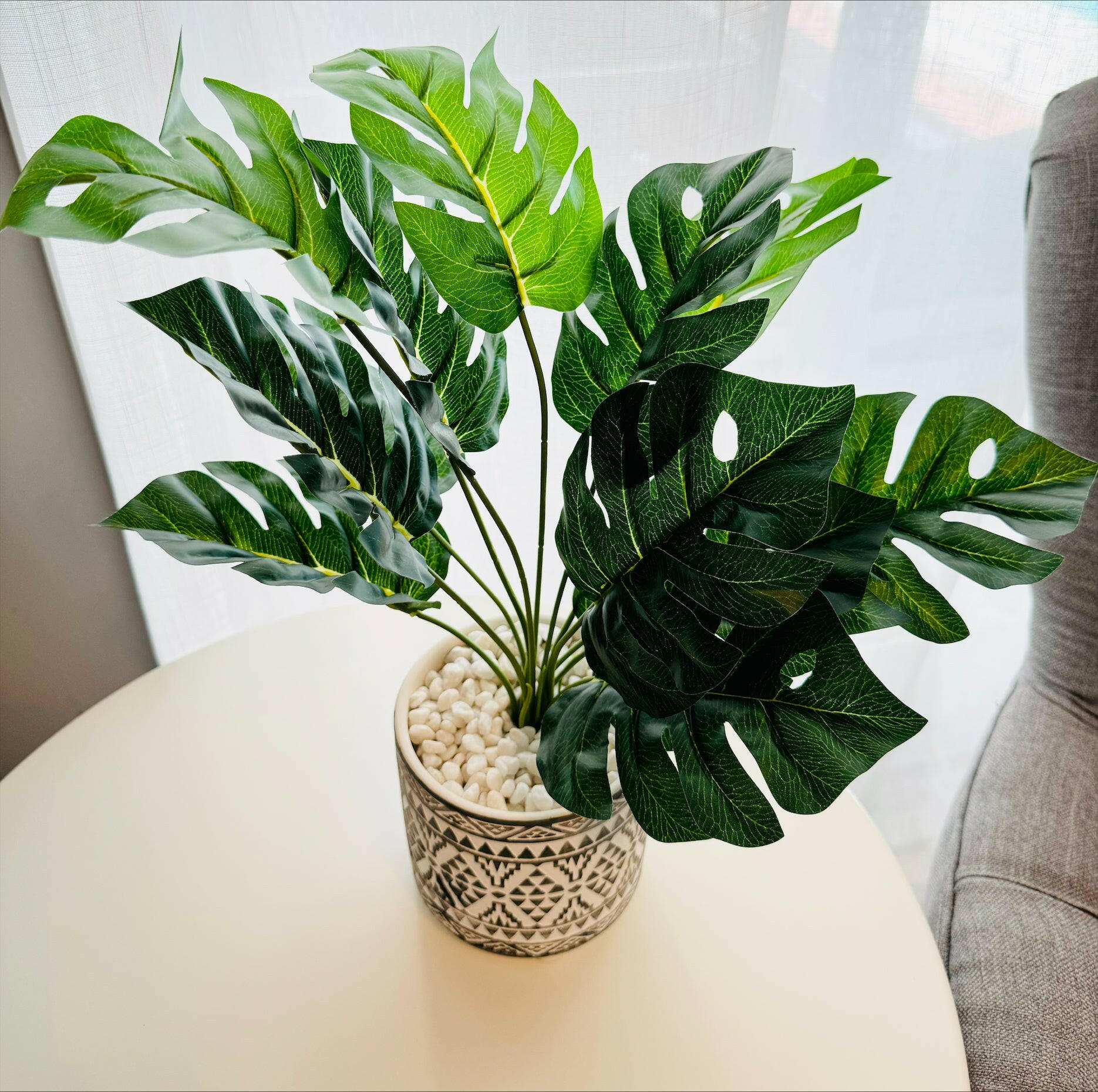 Fern in White Moroccan Pot - 42cm