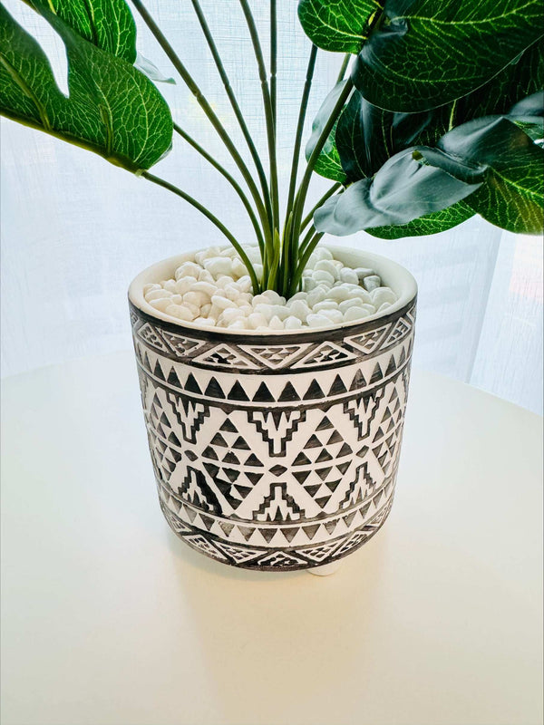 Fern in White Moroccan Pot - 42cm