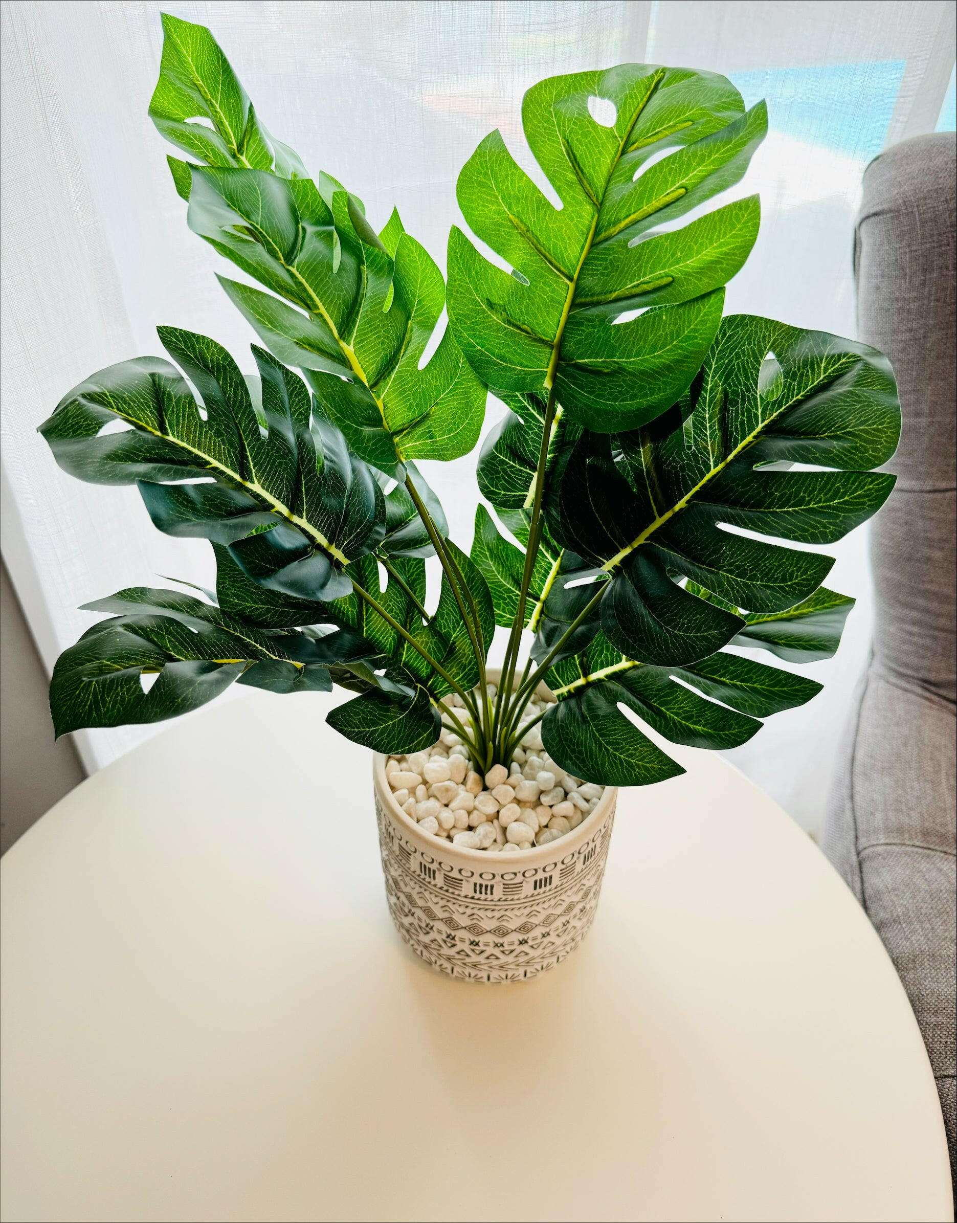 Fern in White Moroccan Pot - 50cm