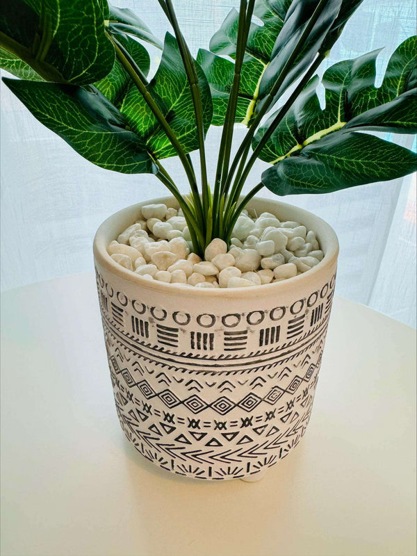 Fern in White Moroccan Pot - 50cm