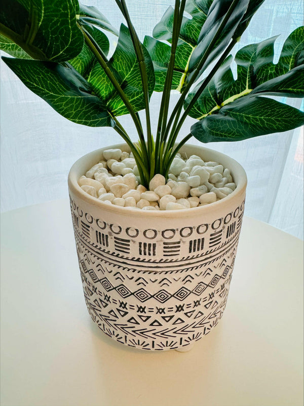 Fern in White Moroccan Pot - 50cm