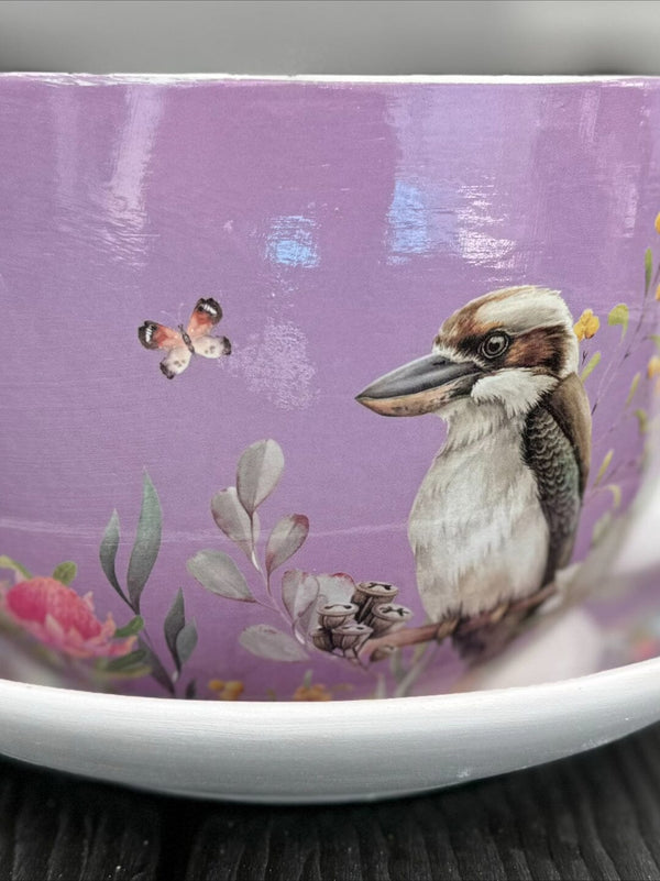 Native Flora & Fauna Cup and Saucer Planter - 19cm Native Bird Designs Planter The Sweet Giftorium 