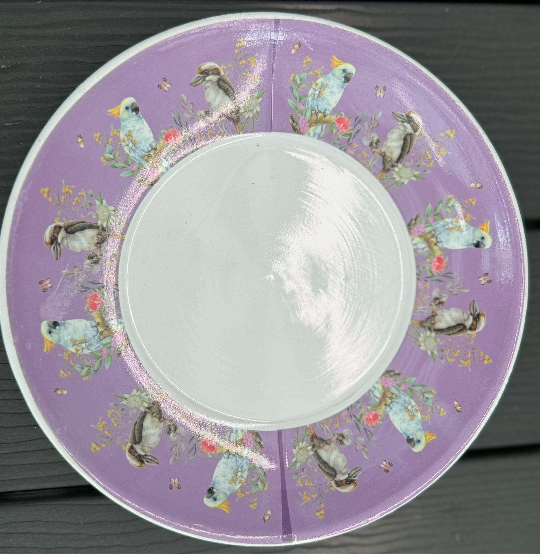 Native Flora & Fauna Cup and Saucer Planter - 19cm Native Bird Designs Planter The Sweet Giftorium 