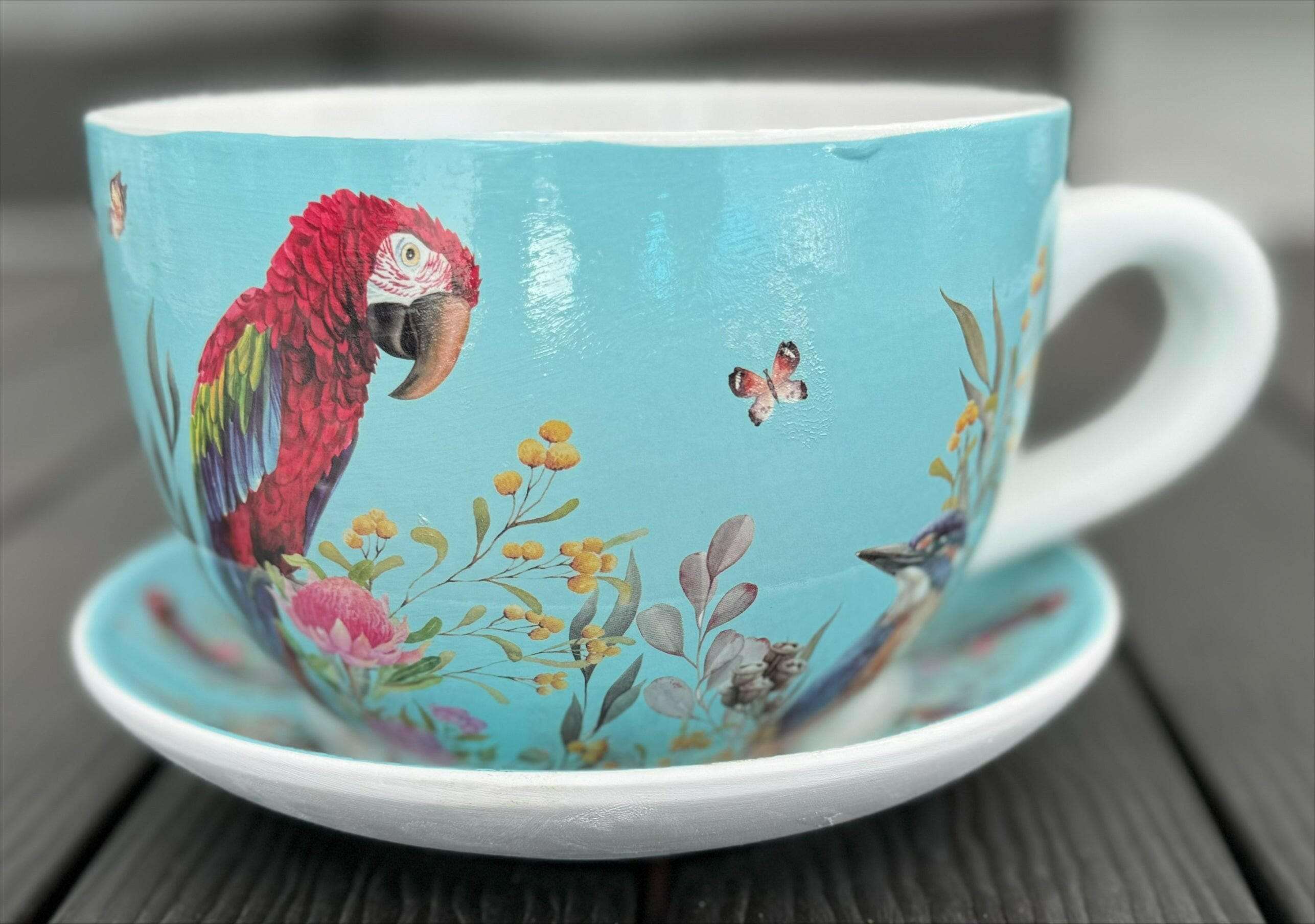 Native Flora & Fauna Cup and Saucer Planter - 19cm Native Bird Designs Planter The Sweet Giftorium Blue 