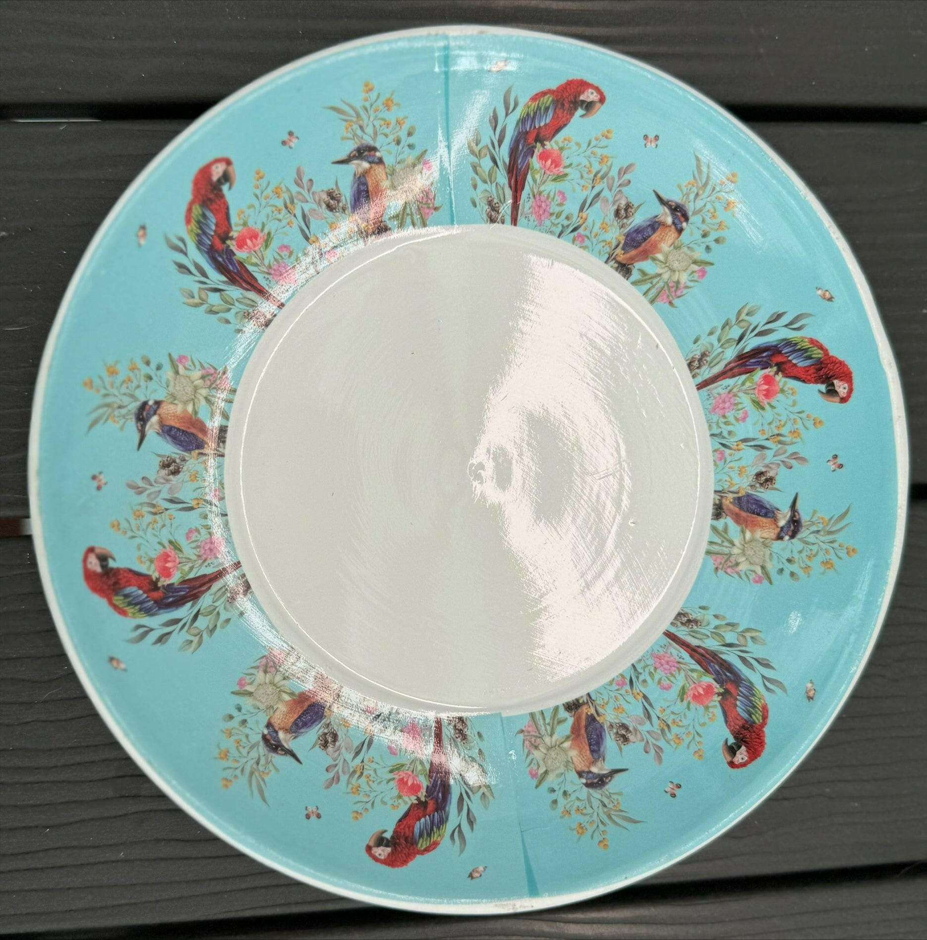 Native Flora & Fauna Cup and Saucer Planter - 19cm Native Bird Designs Planter The Sweet Giftorium 