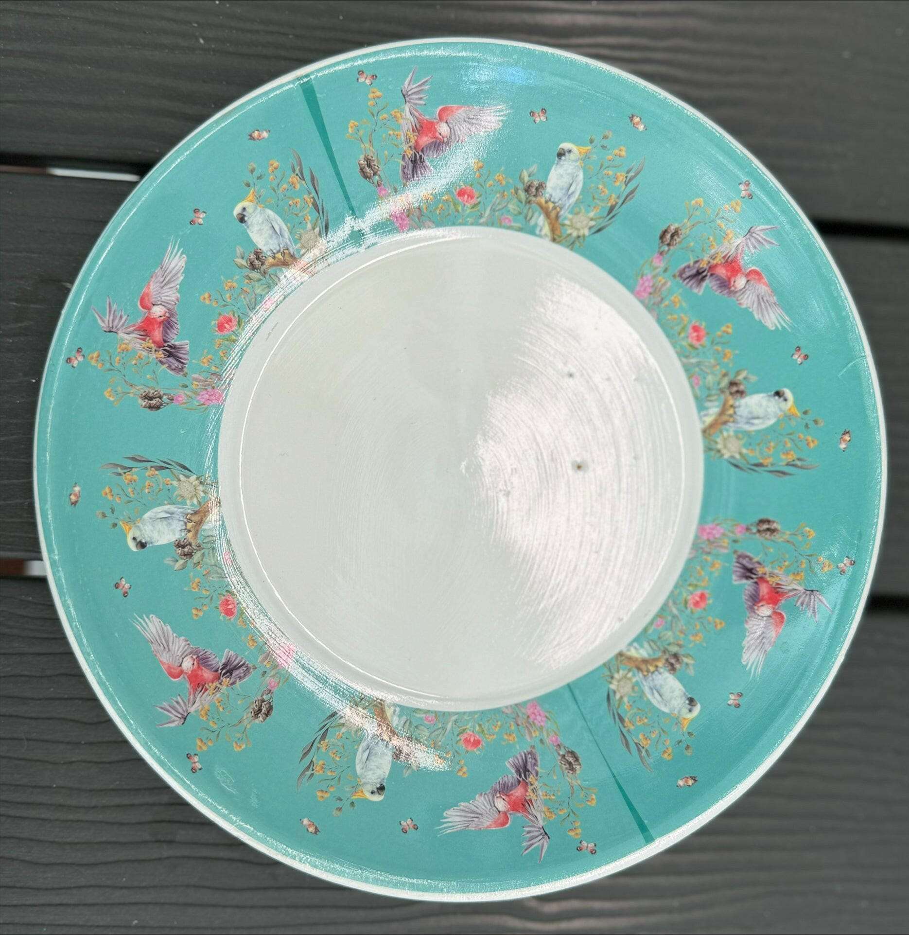 Native Flora & Fauna Cup and Saucer Planter - 19cm Native Bird Designs Planter The Sweet Giftorium 