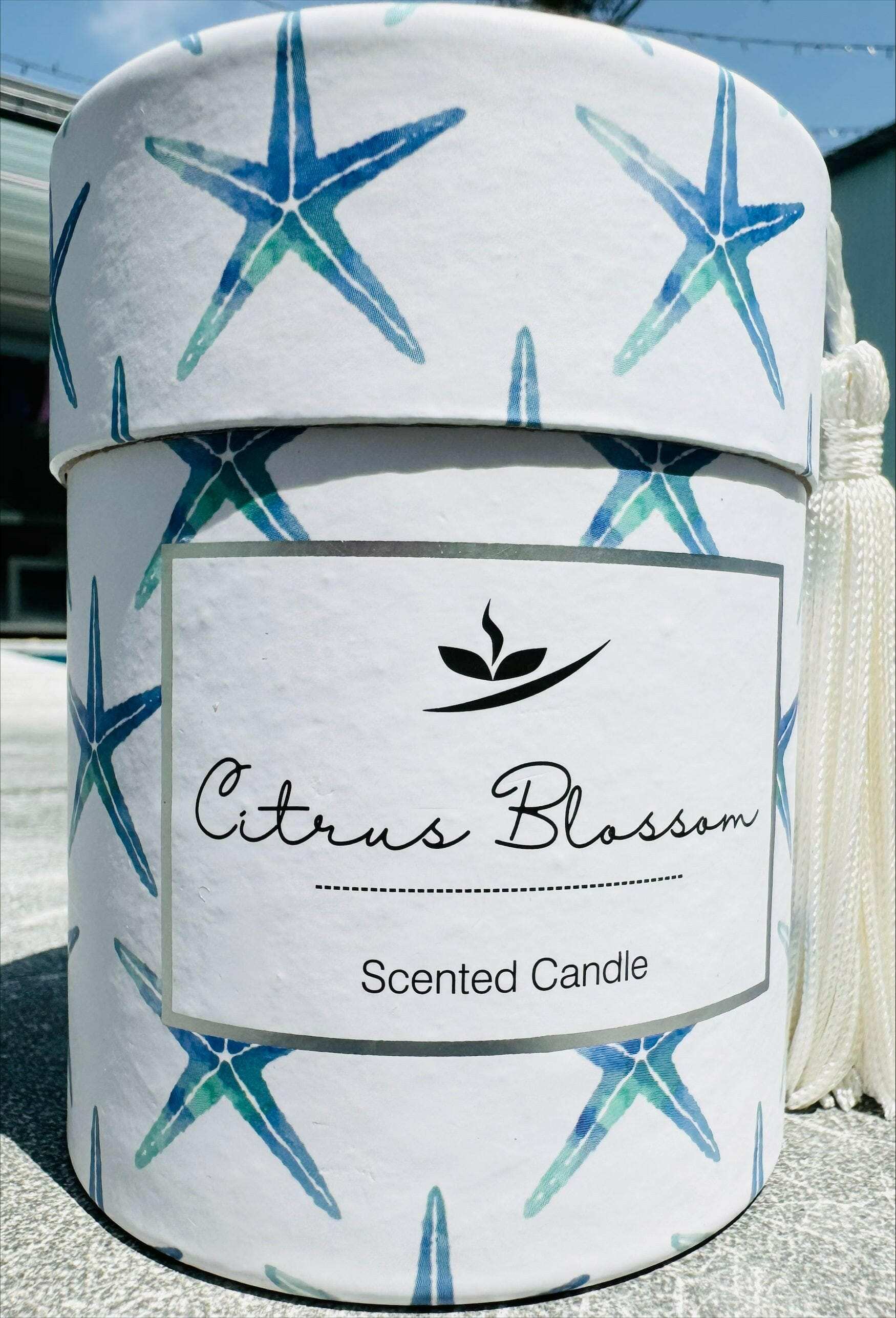 Premium Sealife Candle - 200g Scented Candles The Sweet Giftorium 