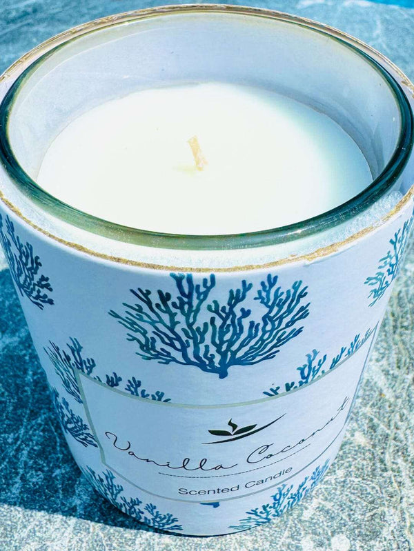 Premium Sealife Candle - 200g Scented Candles The Sweet Giftorium 